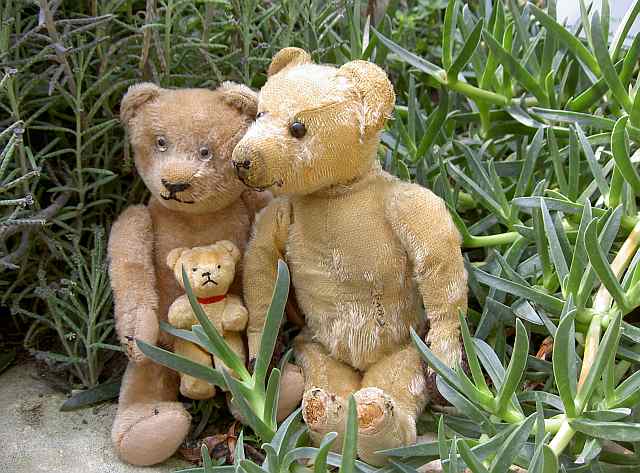 Three vintage teddy bears, manufacturer unknown