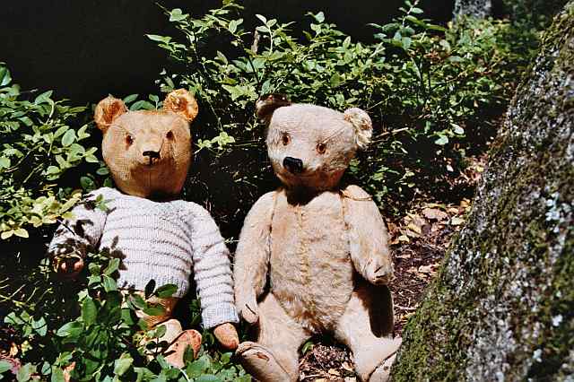 Unknown vintage teddy (left) with German Hermann teddy, both ca 1930