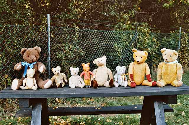 Teddy Bear group 1907-1950