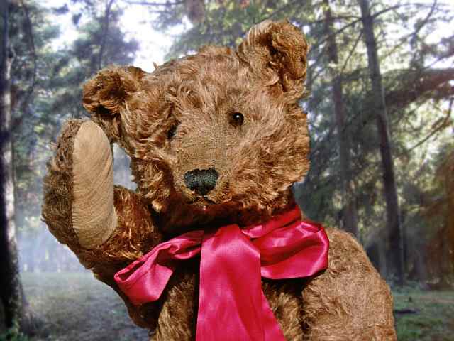 Steiff Teddy Bear 1908, 65 cm