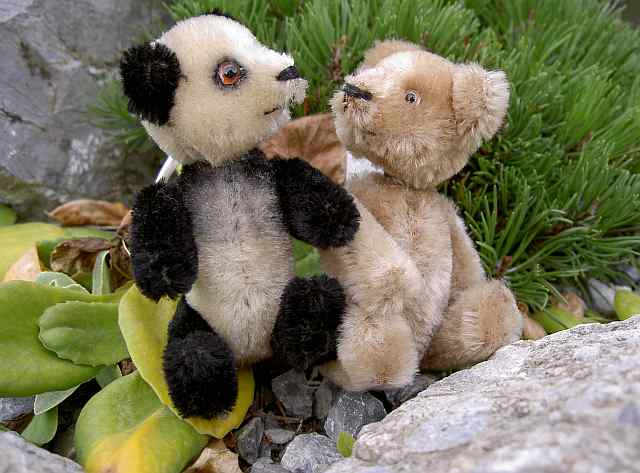 Schuco Yes/No-miniature teddy bears 1950