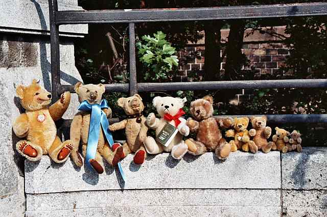 Steiff teddy bears through 80 years