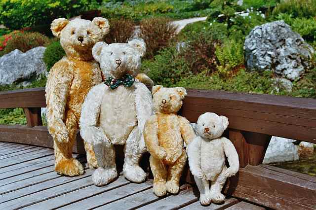 four Steiff teddy bears ca. 1930
