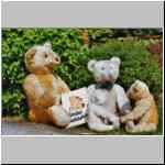 Steiff teddy bears reading vintage teddy book