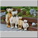Four Steiff teddy bears 1930