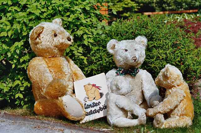 Four Steiff teddy bears with vintage teddy bear book,ca 1930
