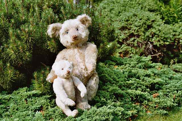 Steiff white Petsy 1930 with  Craemer ? teddy
