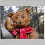Steiff Teddy Bear ca 1908