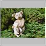 Steiff Petsy 1930 with Craemer? teddy 1925