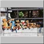 Steiff Bears 1908 - 1985